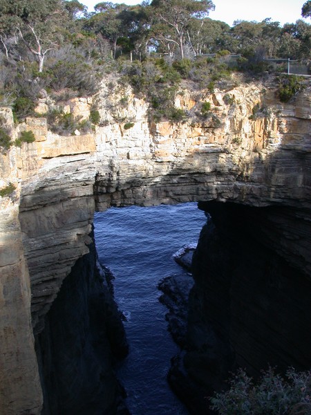Tasman Arch